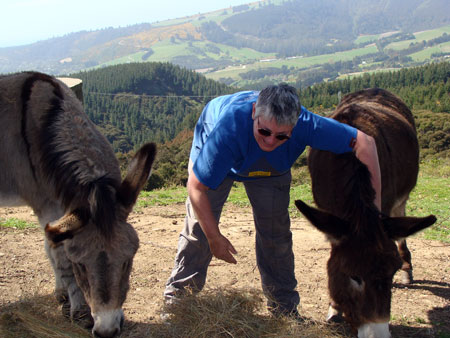 Animal Homeopathic Treatments